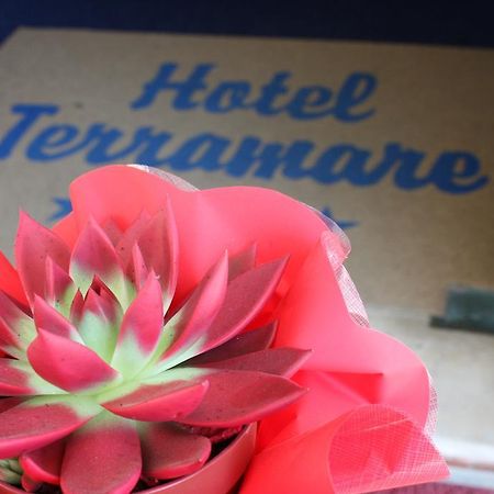Hotel Terramare Τζεσόλο Λίντο Εξωτερικό φωτογραφία