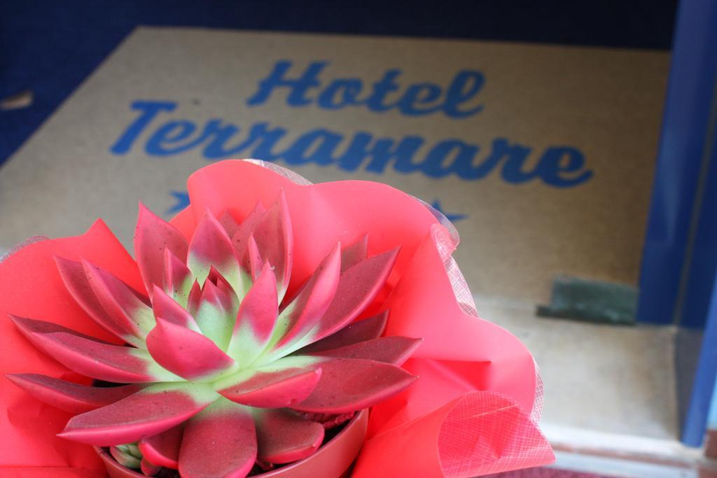 Hotel Terramare Τζεσόλο Λίντο Εξωτερικό φωτογραφία